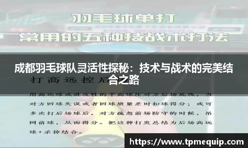 成都羽毛球队灵活性探秘：技术与战术的完美结合之路